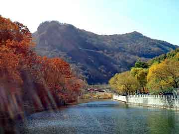 葫芦岛房地产超市信息网（葫芦岛房地产超市：为您打造私人开发商）